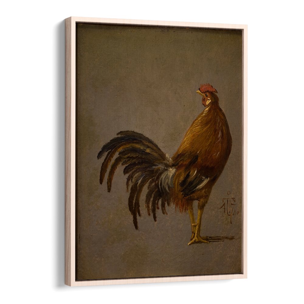 A COCK