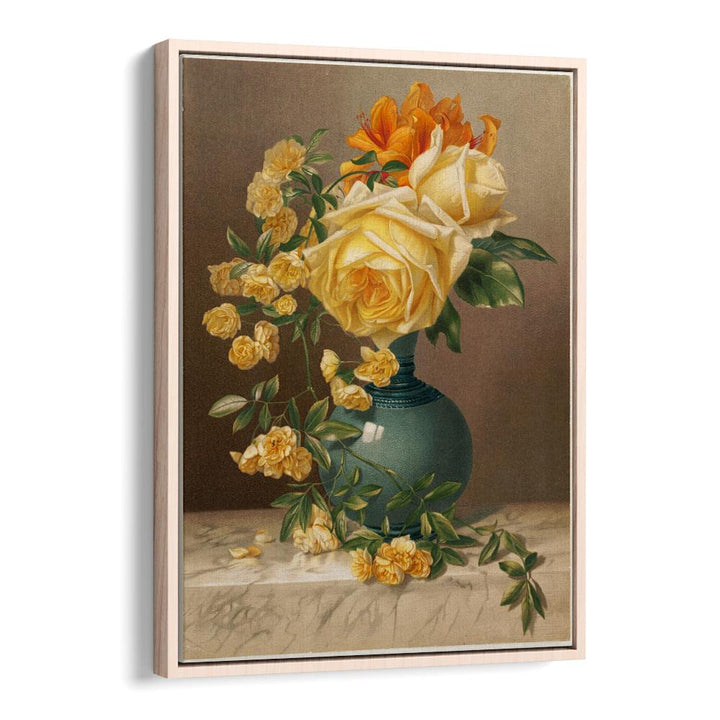 MARCHAL NIEL ROSES