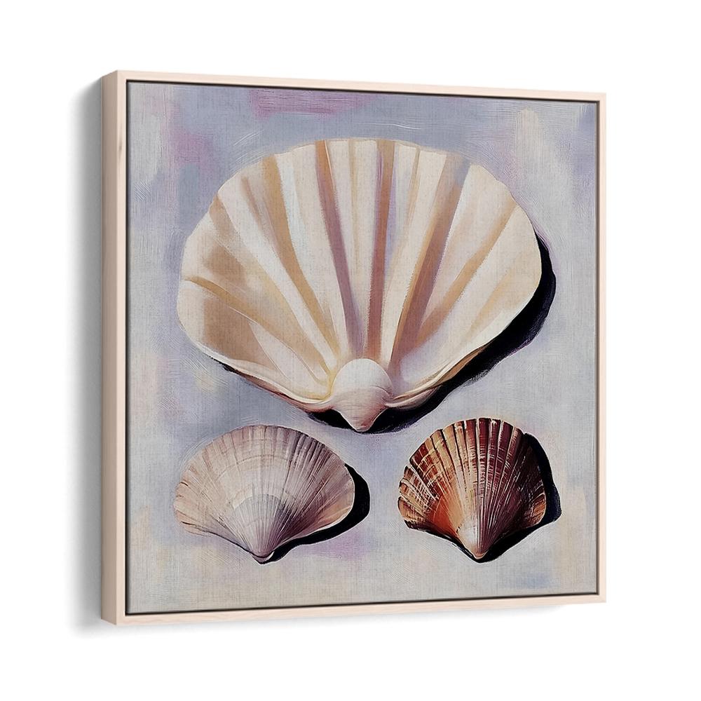 SOFT SCALLOP SHELLS