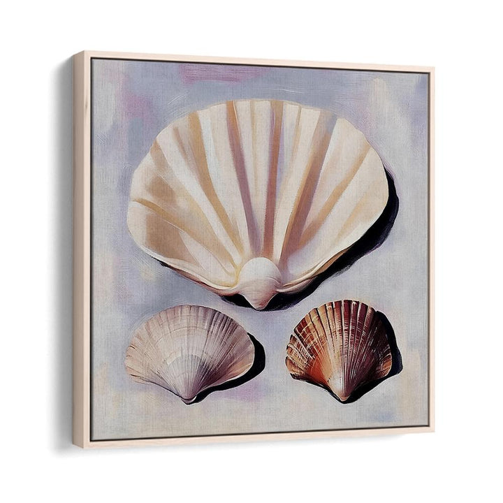 SOFT SCALLOP SHELLS