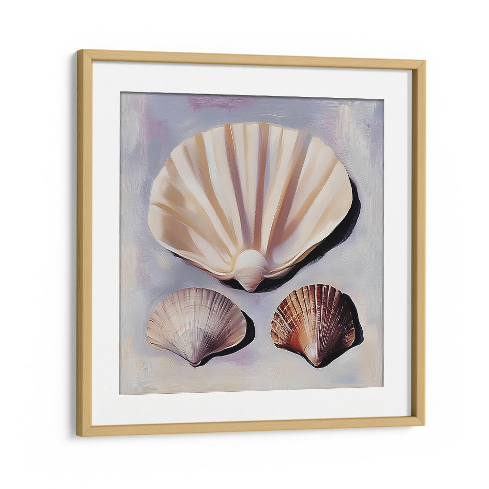 SOFT SCALLOP SHELLS