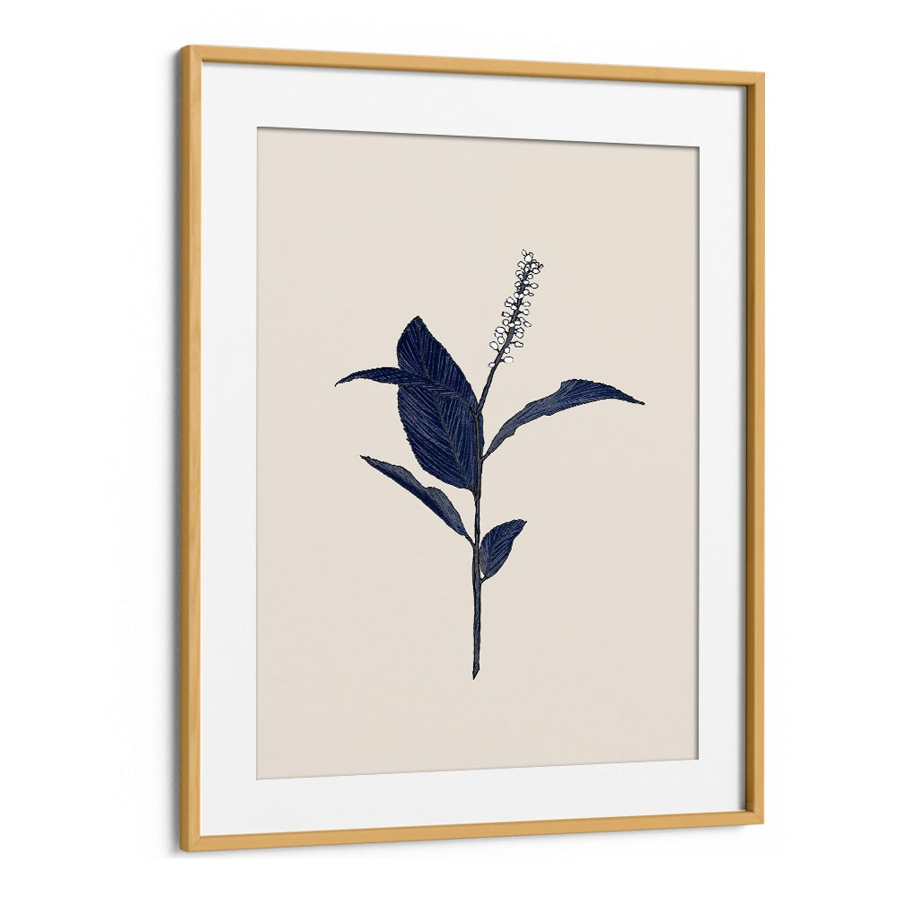 INDIGO BOTANICAL STUDY
