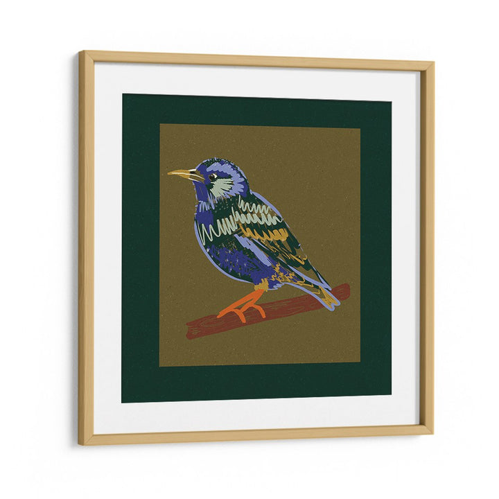 VIBRANT STARLING PERCH