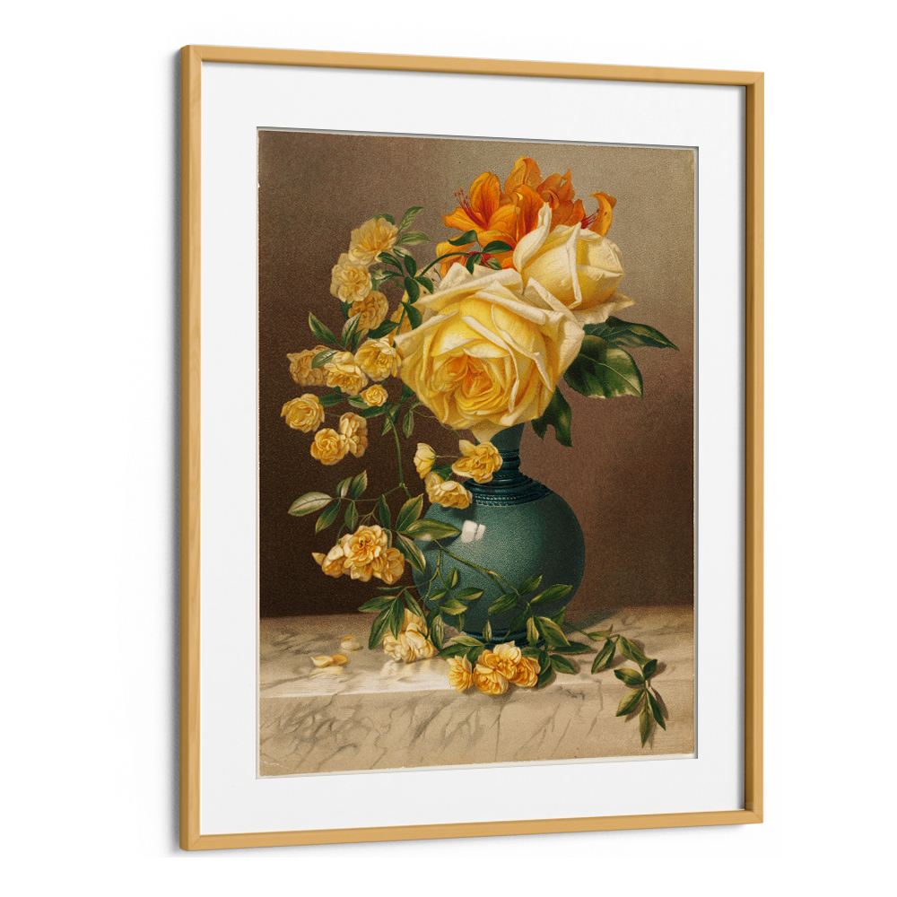 MARCHAL NIEL ROSES