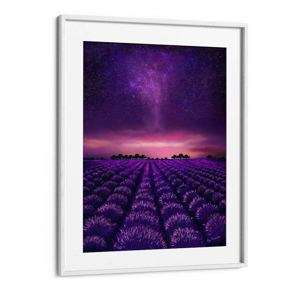 STARRY LAVENDER FIELDS