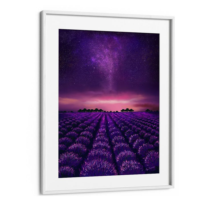 STARRY LAVENDER FIELDS