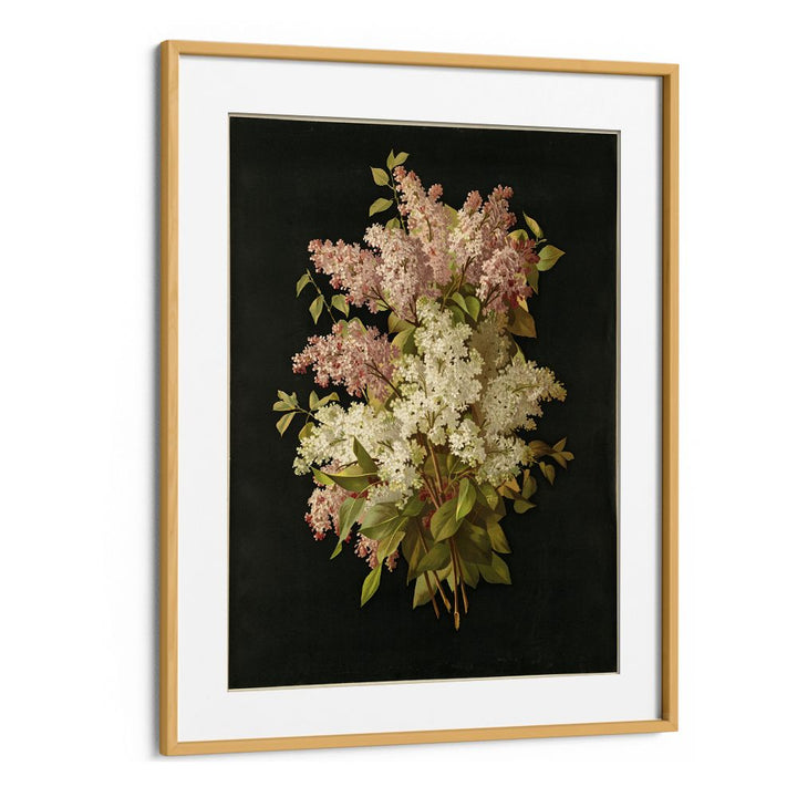 BOUQUET OF LILACS