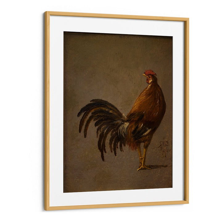 A COCK