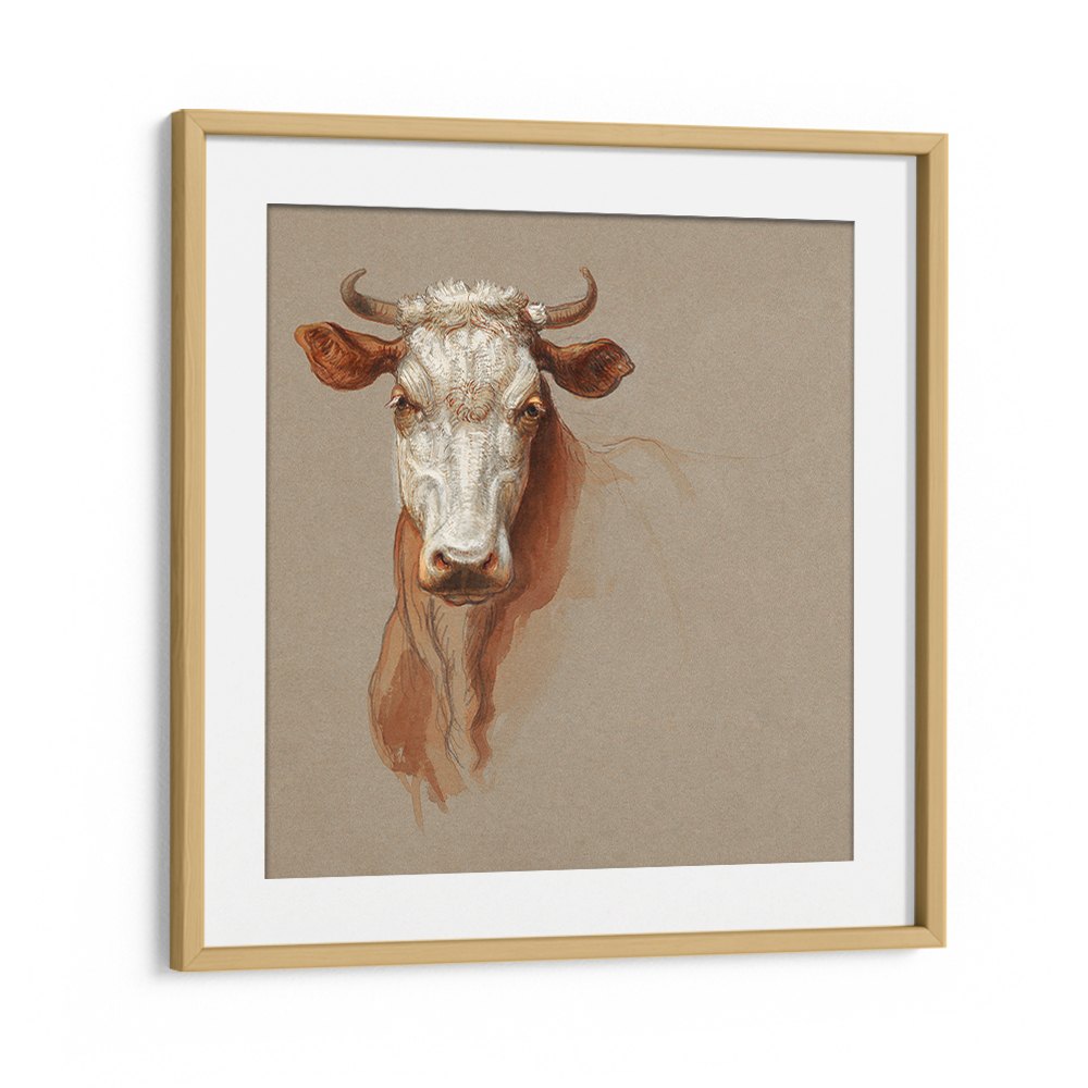 TWO STUDIES OF CATTLE (1876)