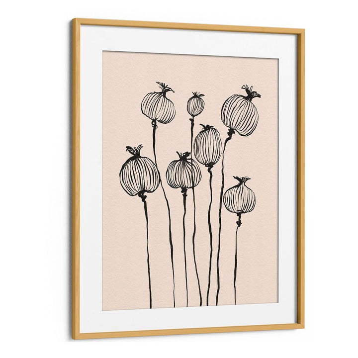 GRACEFUL POPPY PODS