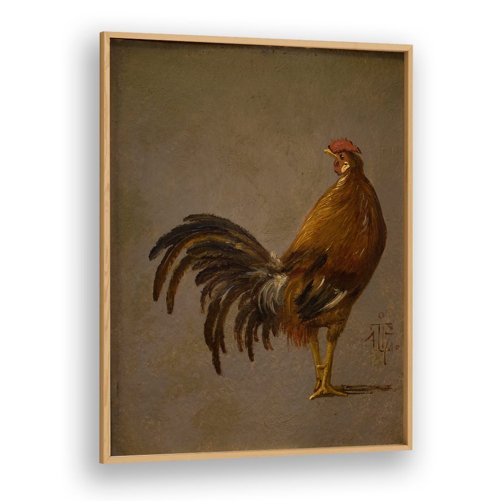 A COCK