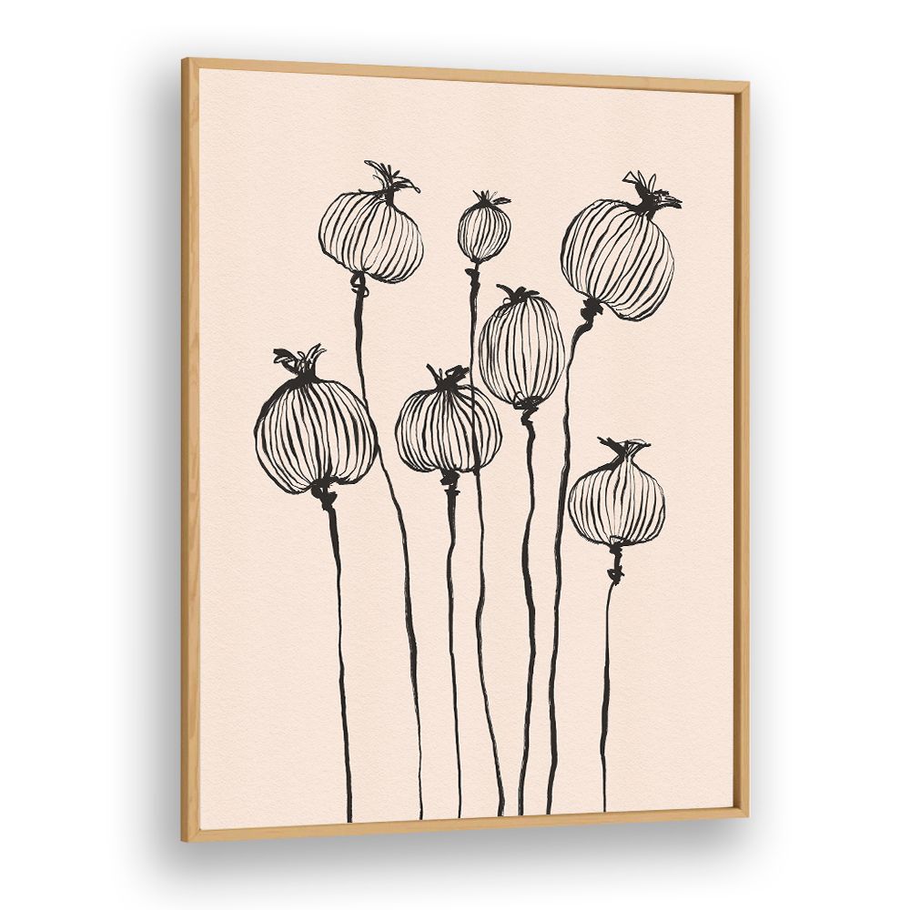 GRACEFUL POPPY PODS