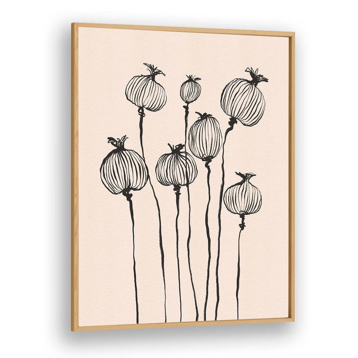 GRACEFUL POPPY PODS
