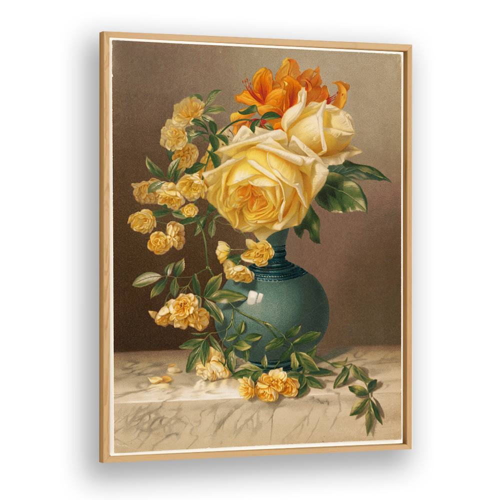 MARCHAL NIEL ROSES