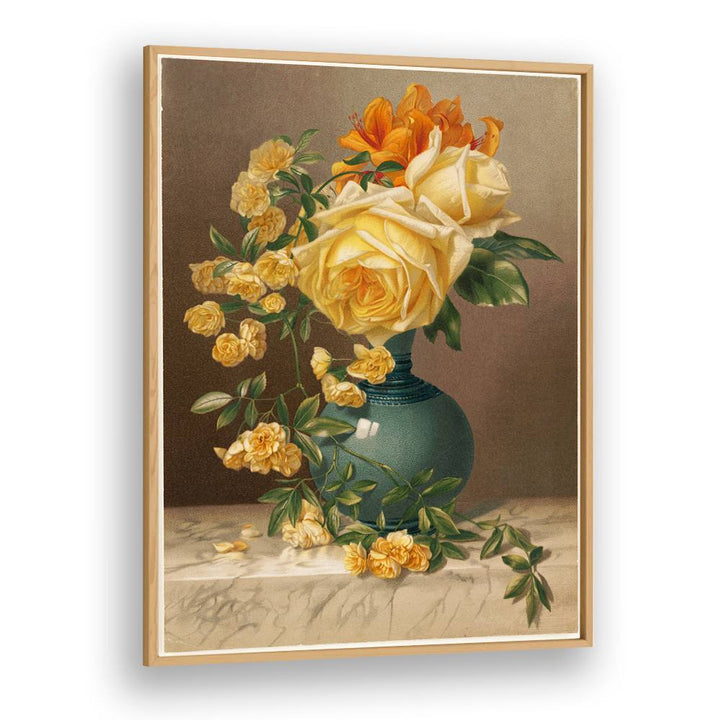 MARCHAL NIEL ROSES
