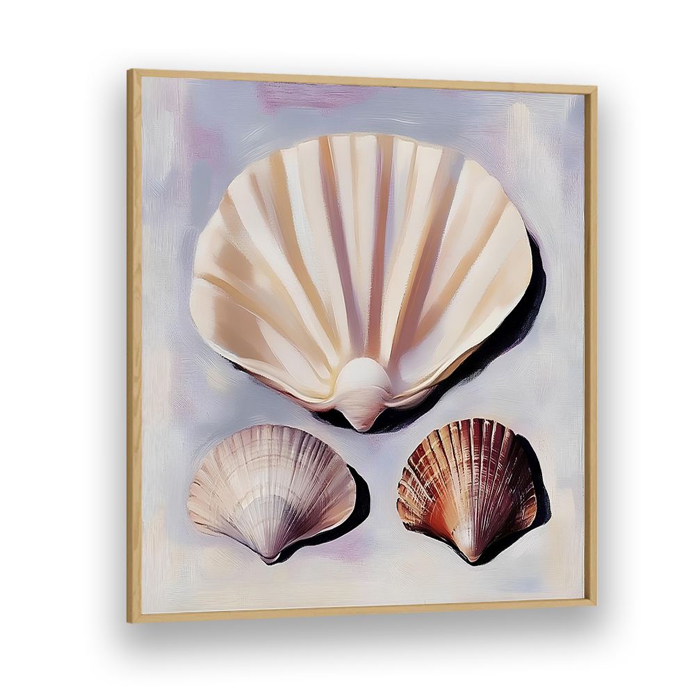 SOFT SCALLOP SHELLS