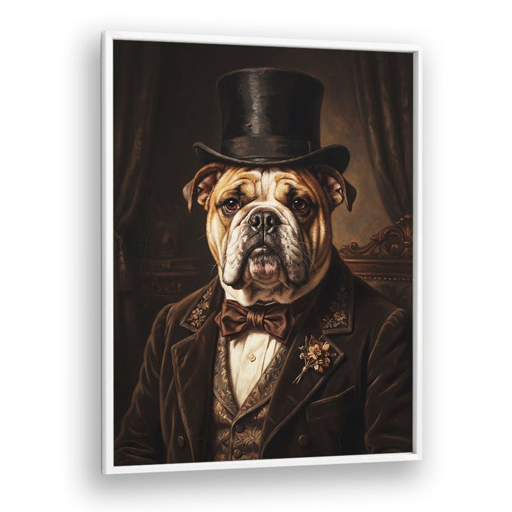 THE DISTINGUISHED BULLDOG