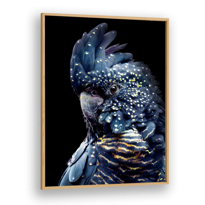 YELLOW SPOTTED COCKATOO
