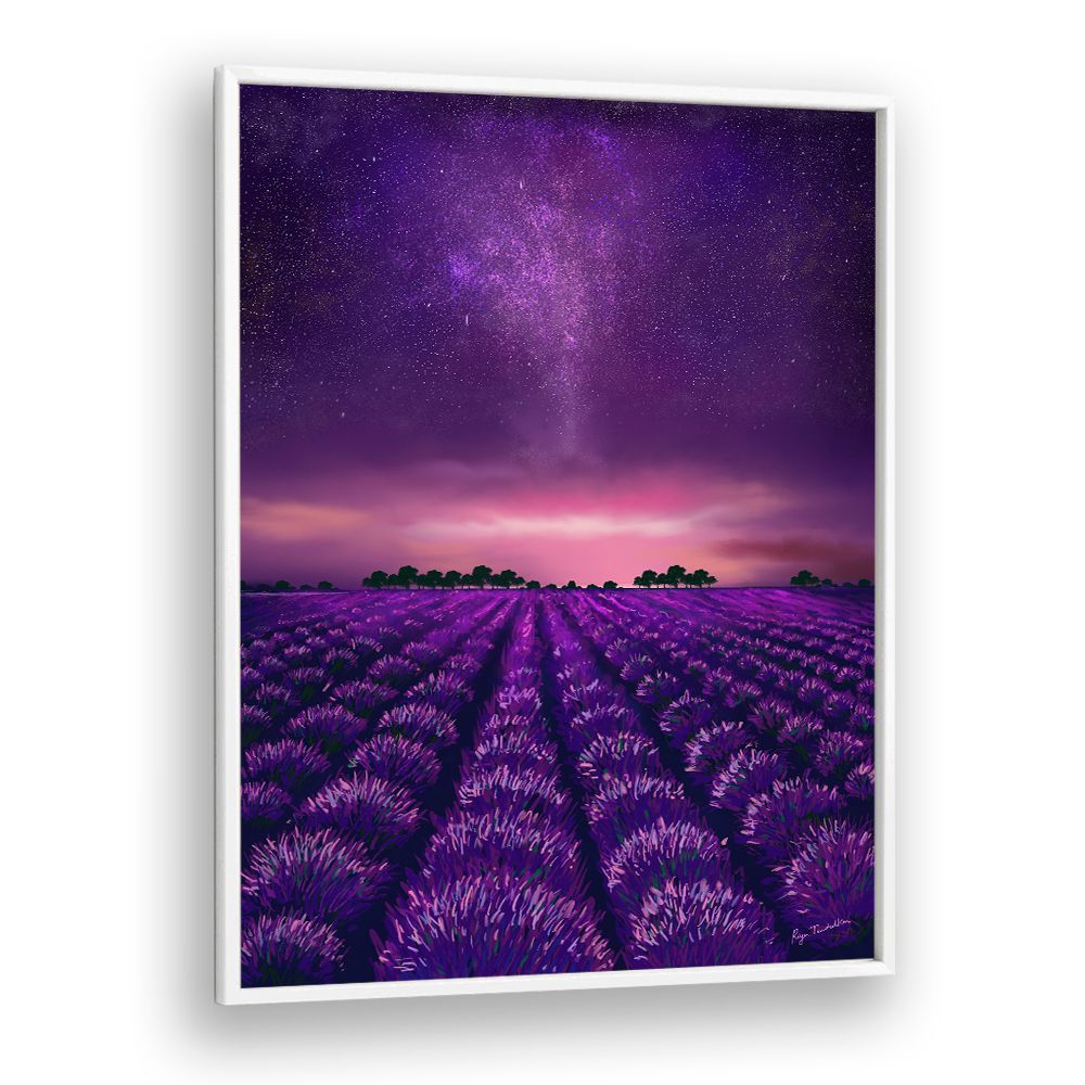 STARRY LAVENDER FIELDS