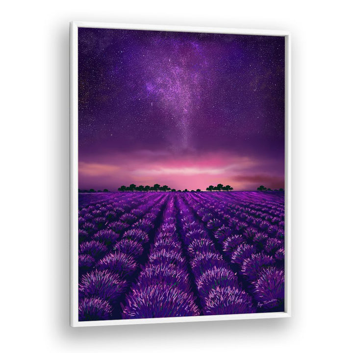 STARRY LAVENDER FIELDS