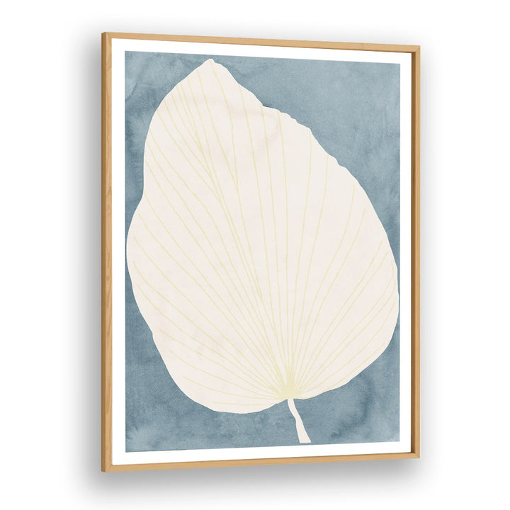 CALM BOTANICAL LEAF