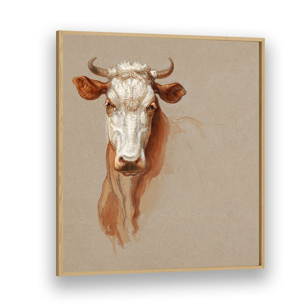 TWO STUDIES OF CATTLE (1876)