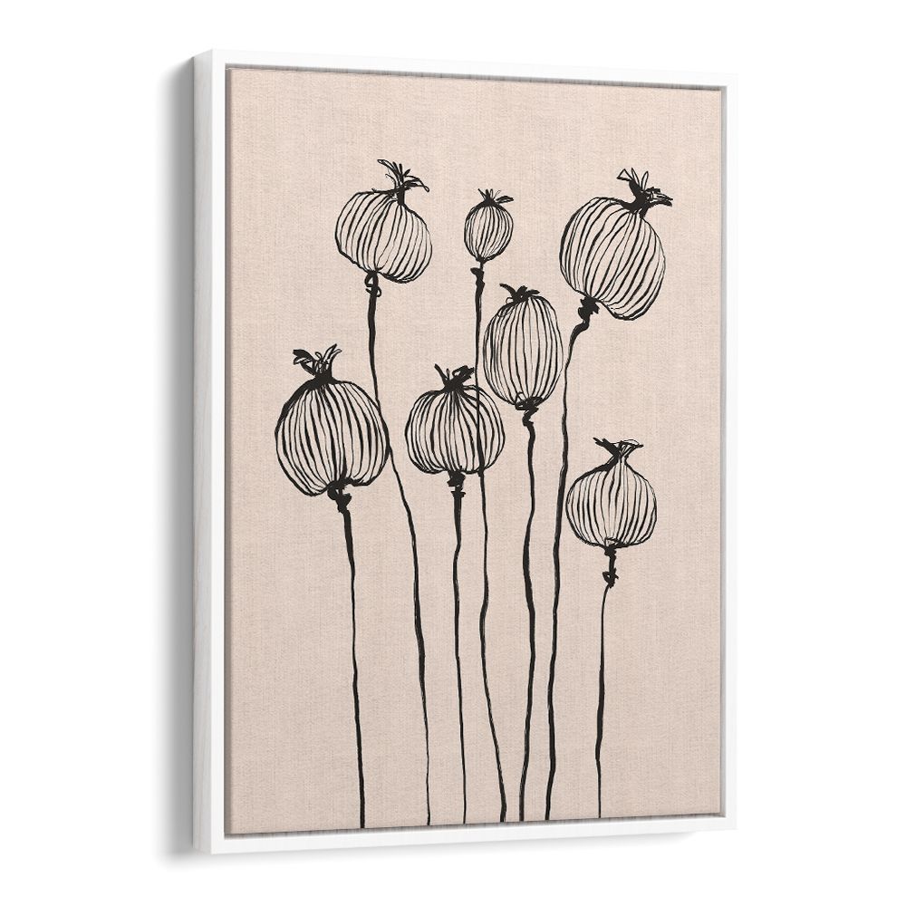 GRACEFUL POPPY PODS