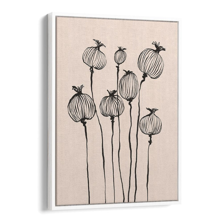 GRACEFUL POPPY PODS