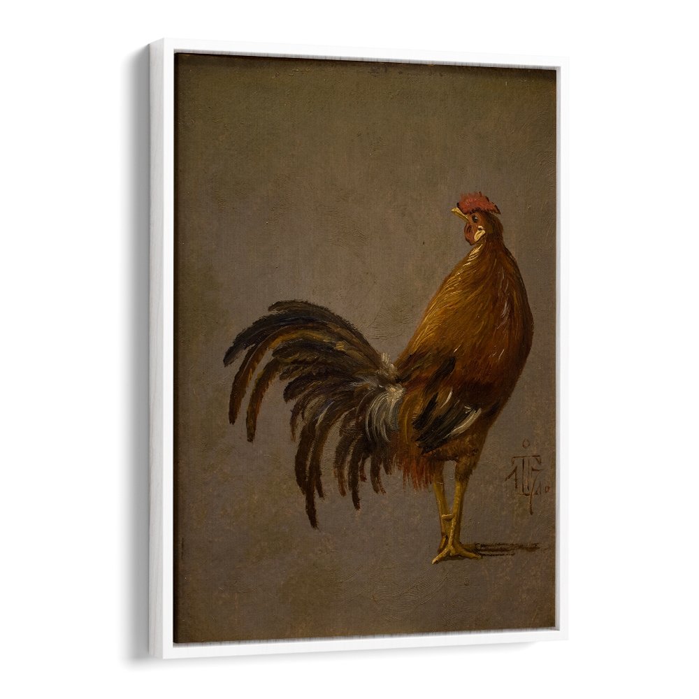 A COCK