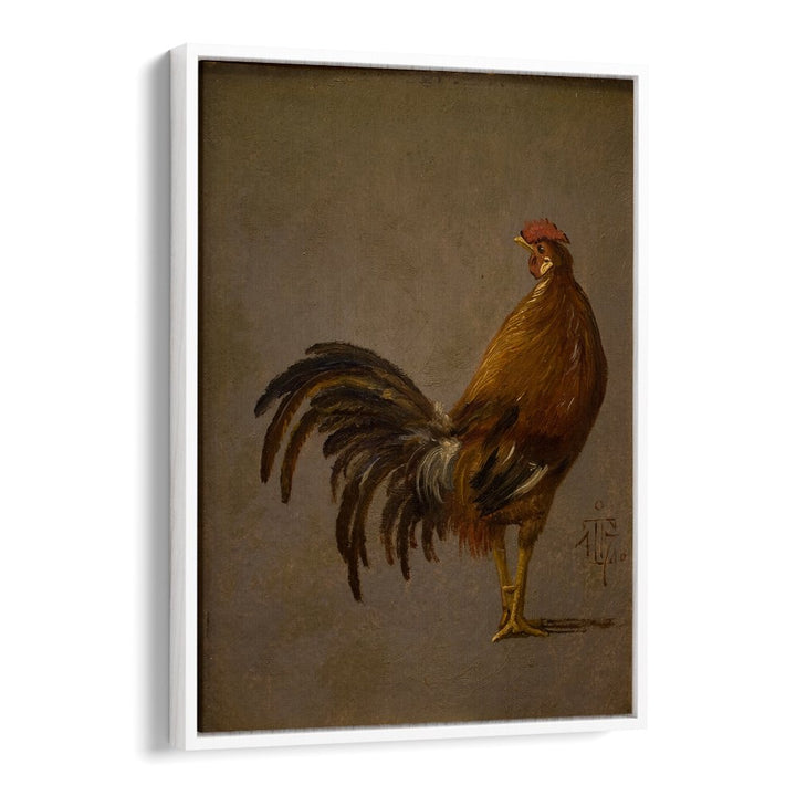 A COCK