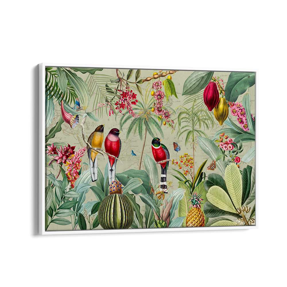 TROPICAL JUNGLE BIRDS