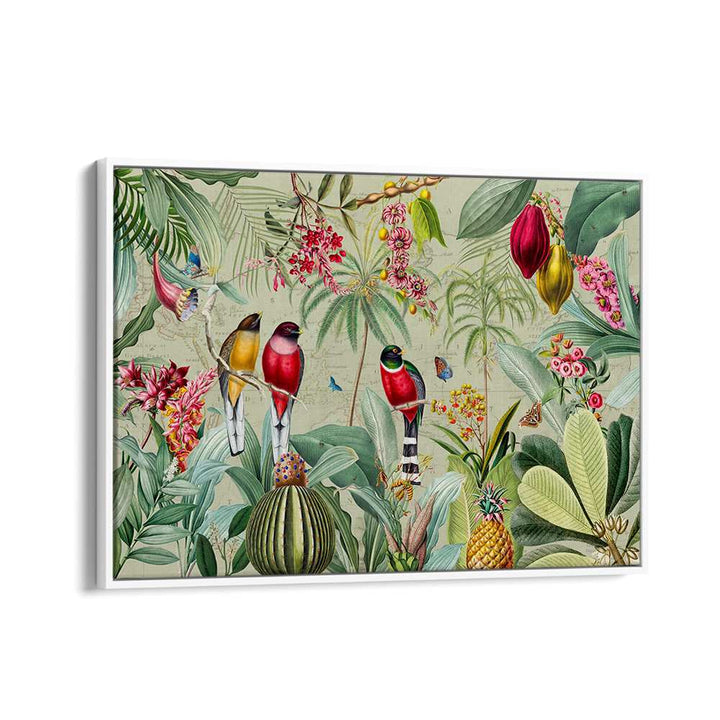 TROPICAL JUNGLE BIRDS