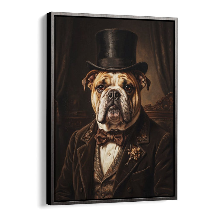 THE DISTINGUISHED BULLDOG
