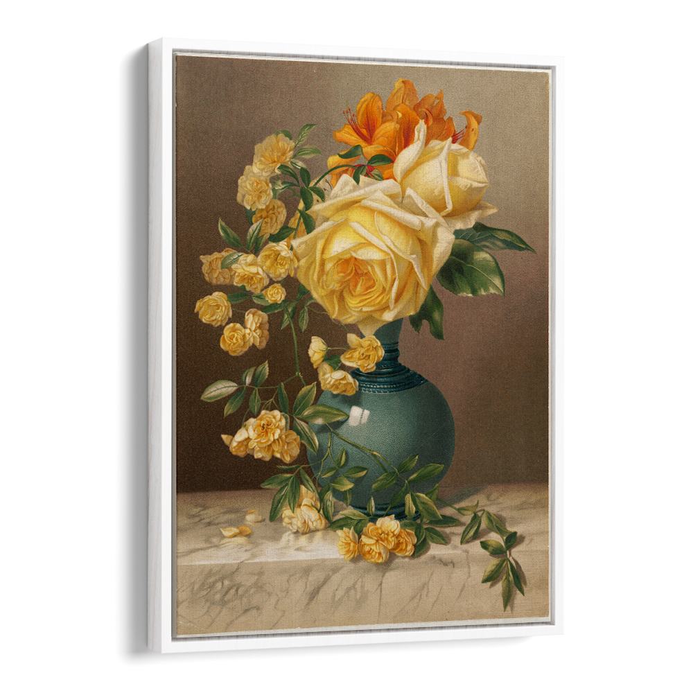 MARCHAL NIEL ROSES
