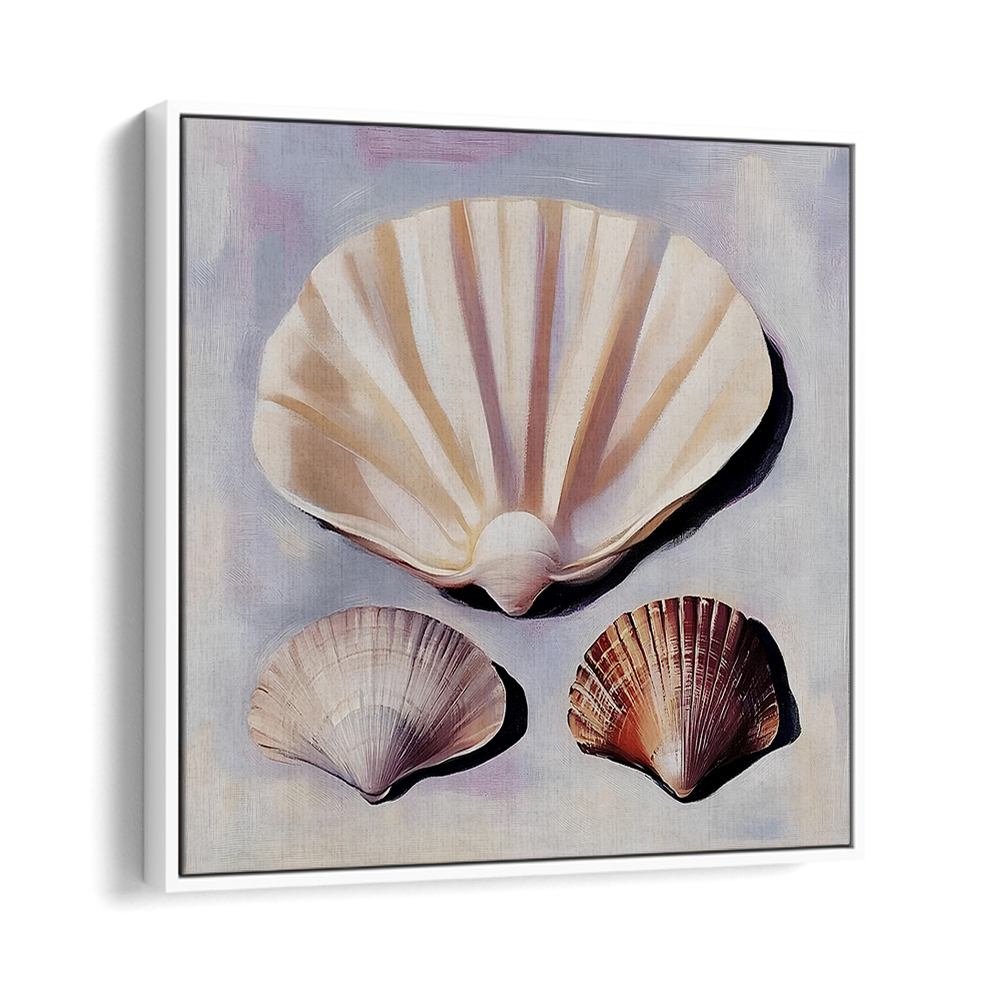 SOFT SCALLOP SHELLS
