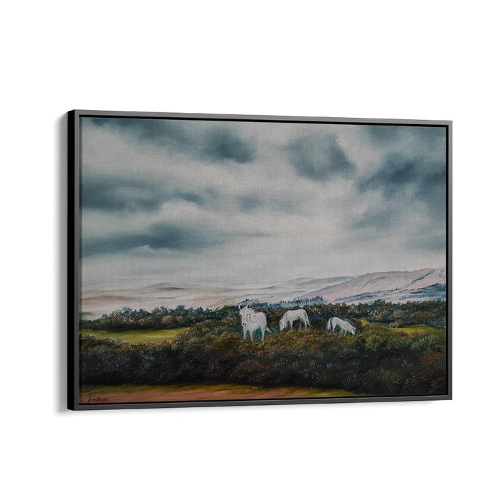 SERENE MOORLAND PONIES