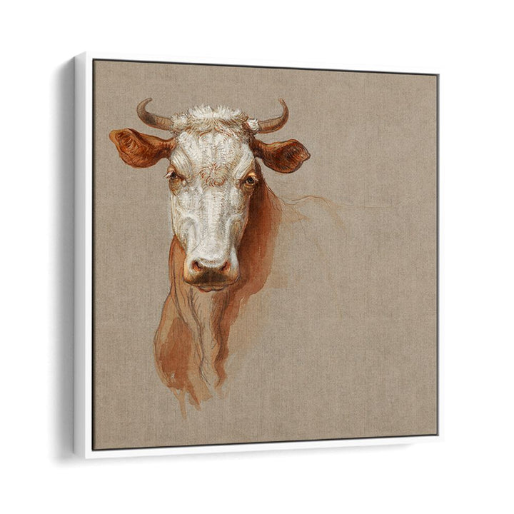 TWO STUDIES OF CATTLE (1876)