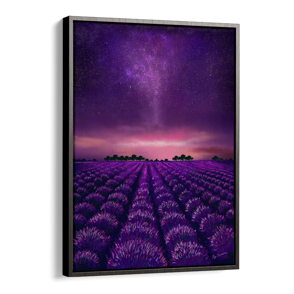 STARRY LAVENDER FIELDS