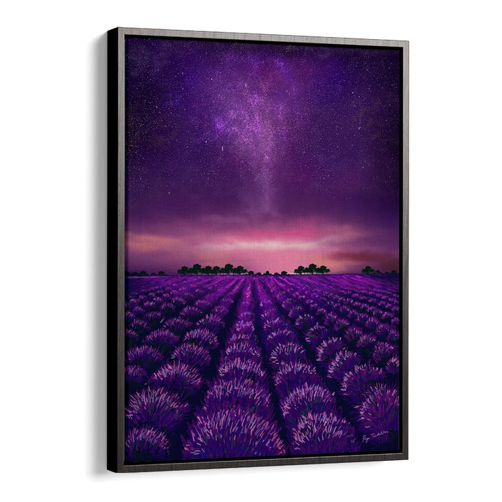 STARRY LAVENDER FIELDS