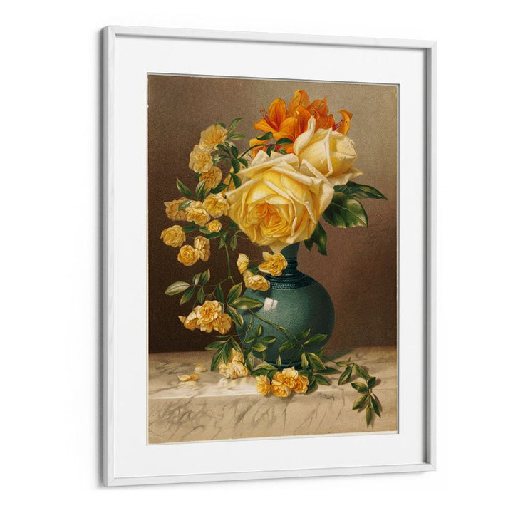 MARCHAL NIEL ROSES