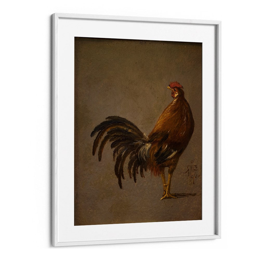 A COCK