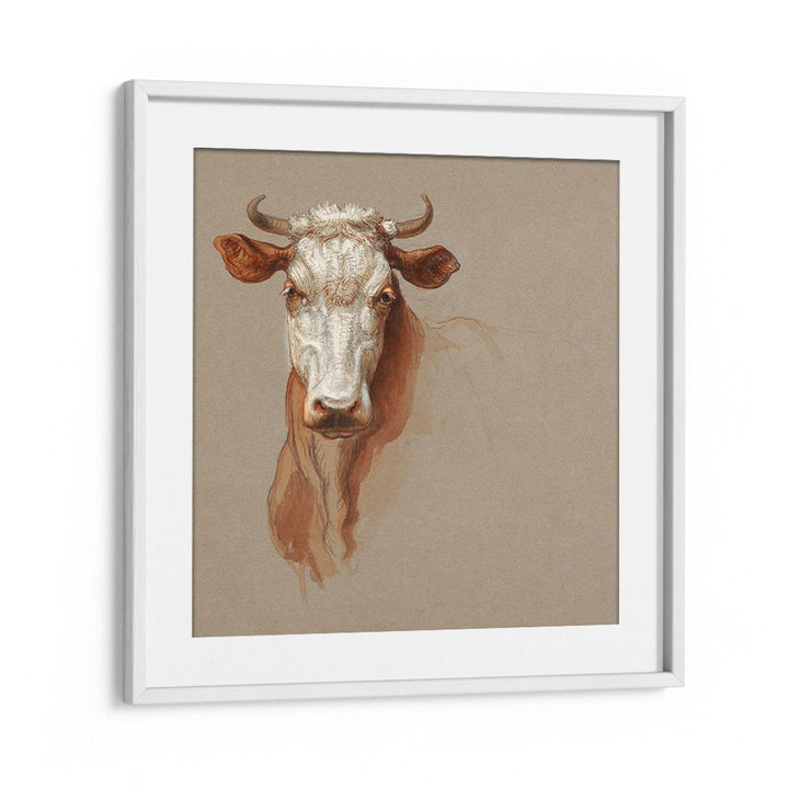 TWO STUDIES OF CATTLE (1876)