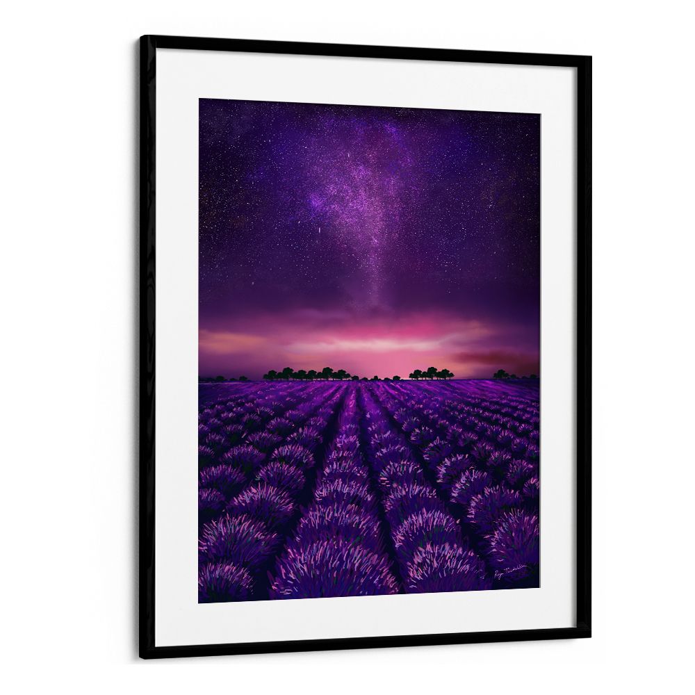 STARRY LAVENDER FIELDS