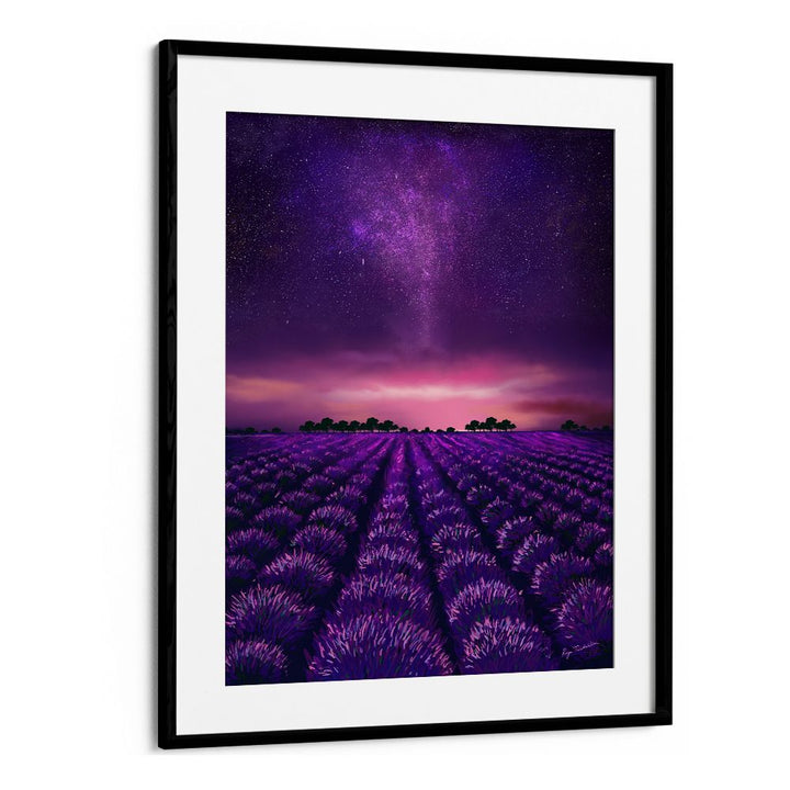 STARRY LAVENDER FIELDS