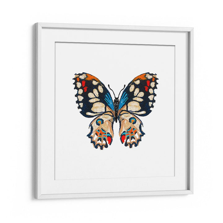 VIVID BUTTERFLY ILLUSTRATION