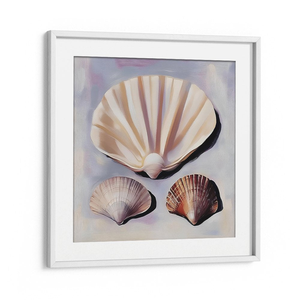 SOFT SCALLOP SHELLS