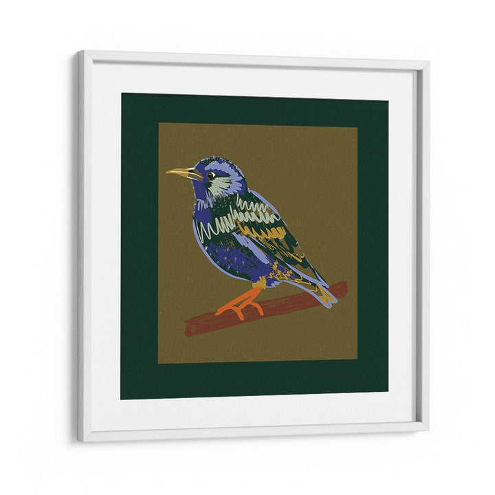 VIBRANT STARLING PERCH