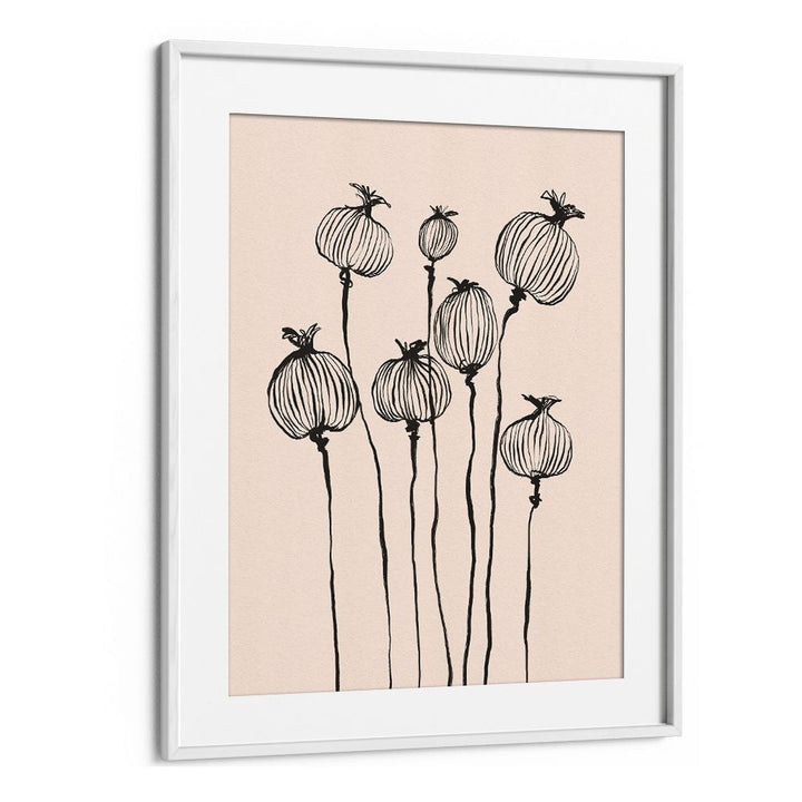 GRACEFUL POPPY PODS