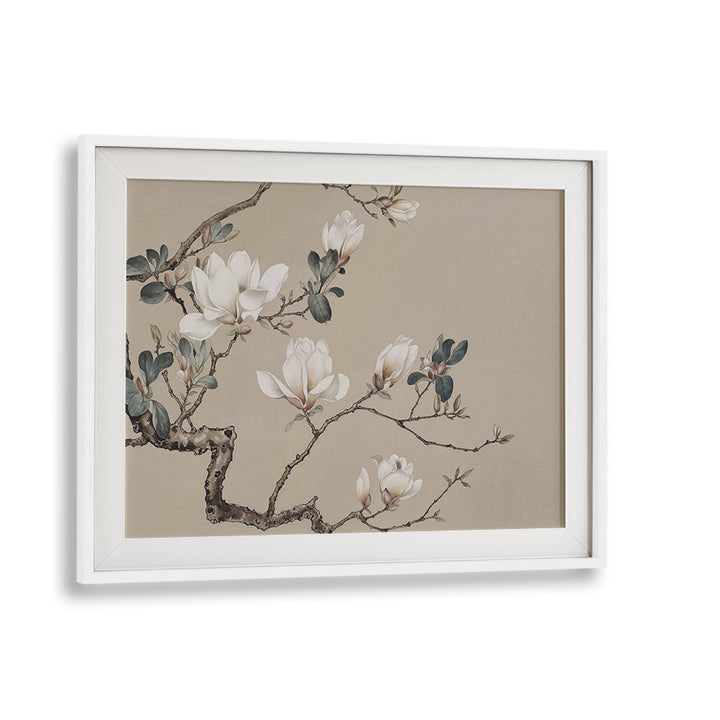 ELEGANT MAGNOLIA BLOOMS