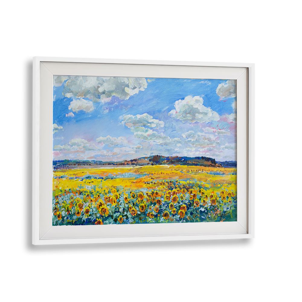 SUNLIT SUNFLOWER FIELD